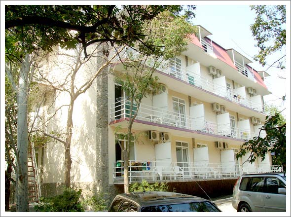 Фото Камелия-Кафа