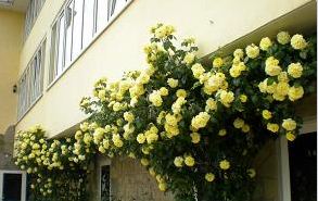 Фото Тихая гавань