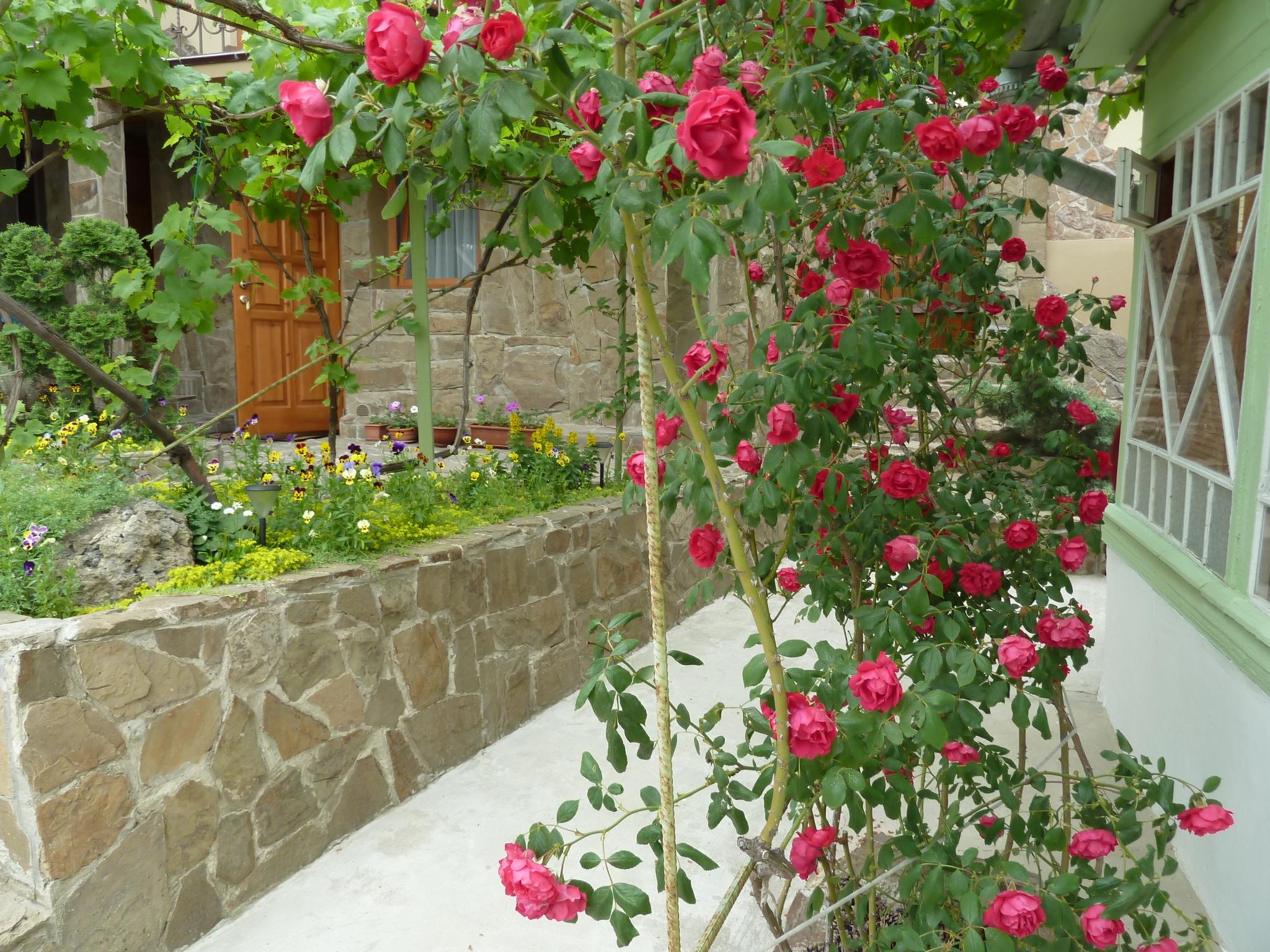 Фото Солнечный замок