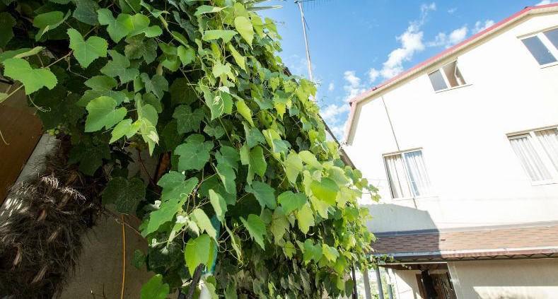 Фото Гостевой дом Мамы Терезы