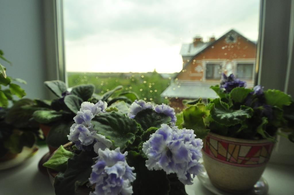 Фото Ваш Суздаль