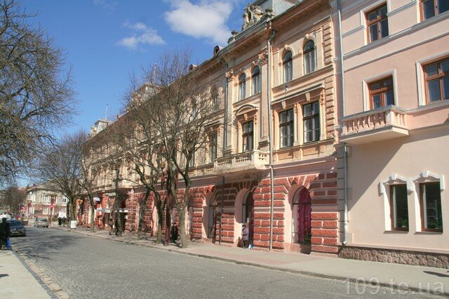 أحزاب سياسية Батьківщина, Тернопільська районна партійна організація ، ، صورة