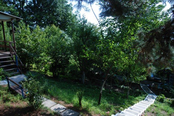 Фото Сосновый Бор