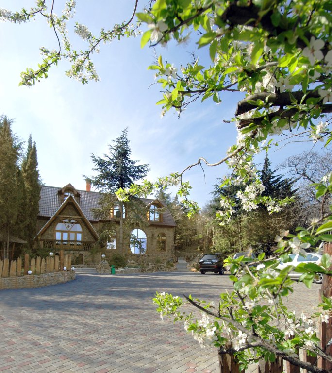 Фото Лесной