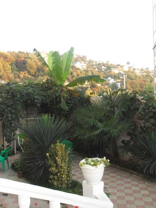 Фото Мишель