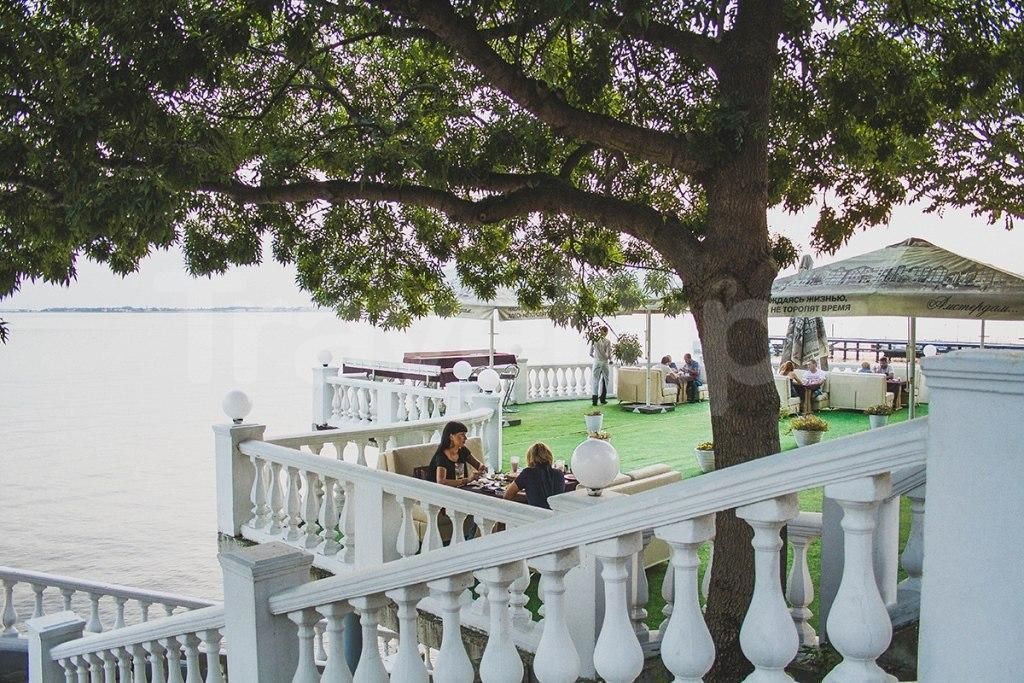 Фото Магнолия