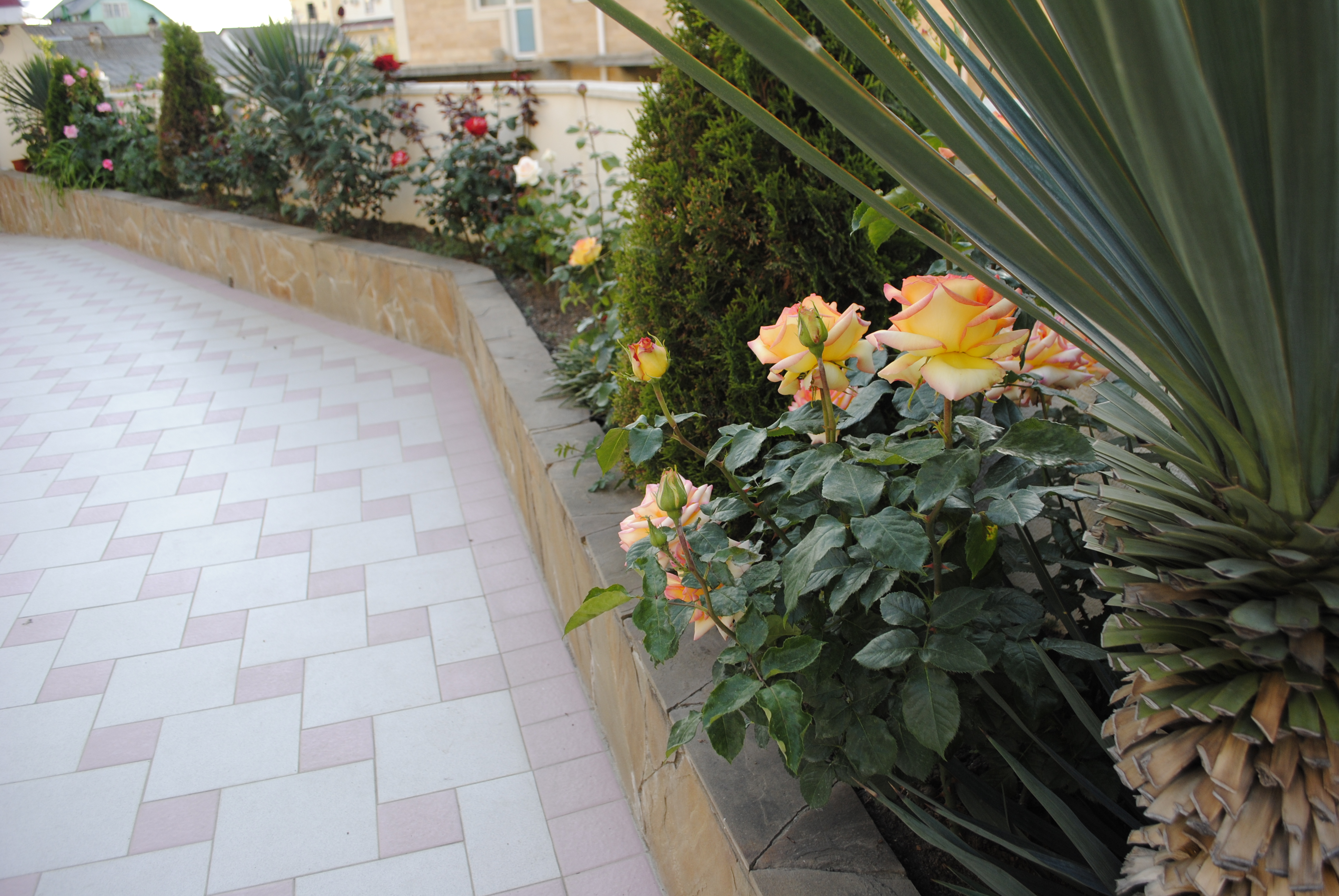 Фото Вилла Бельведер