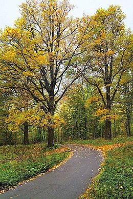 Фото Селигер Палас