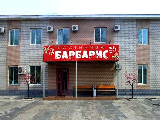 Фото Барбарис