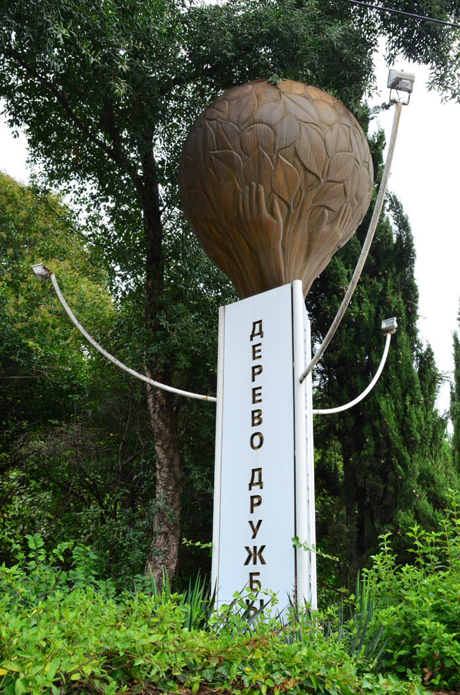 Музей Сад-музей Дерево Дружбы, Сочи, фото