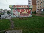 Флорист+ (Severniy Microdistrict, ulitsa Mate Zalki, 33/2), flower shop