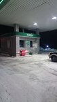 Октан (posyolok gorodskogo tipa Bely Yar, Borovaya ulitsa, 2К2), gasolinera