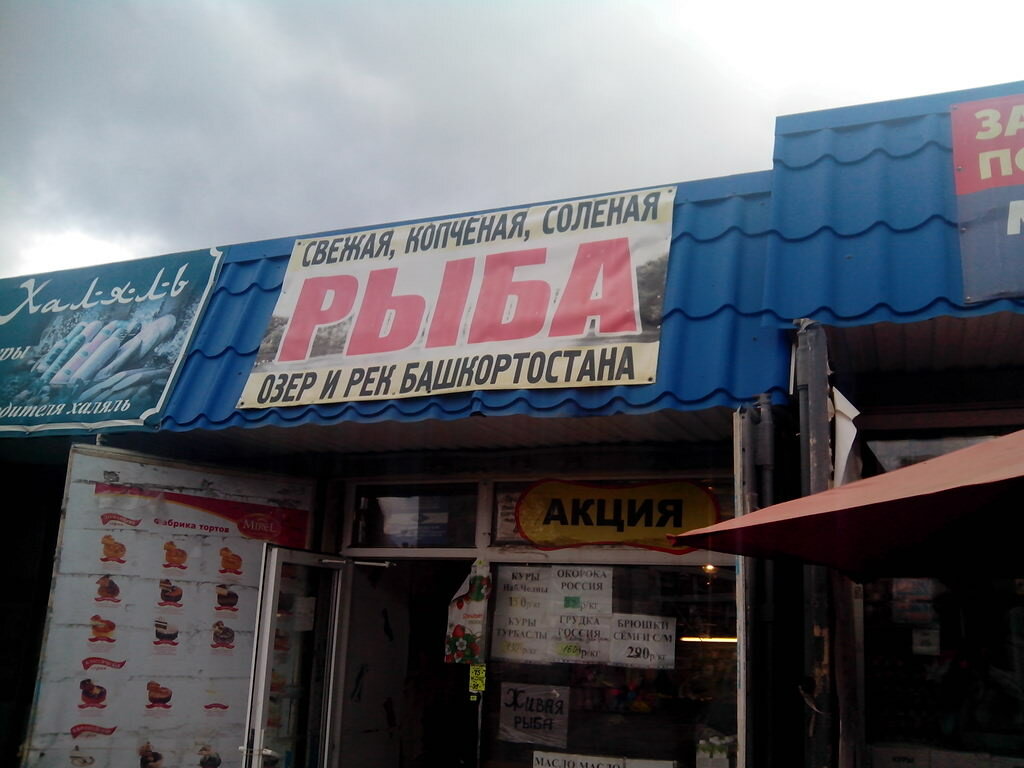 Шефпорт Магазин Уфа Официальный Сайт