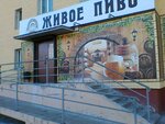 Zhivoye Pivo (Moskovskiy prospekt, 148) ، متجر بيع البيرة