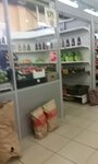 Greenhouse (Lenina Boulevard, 22), greengrocery