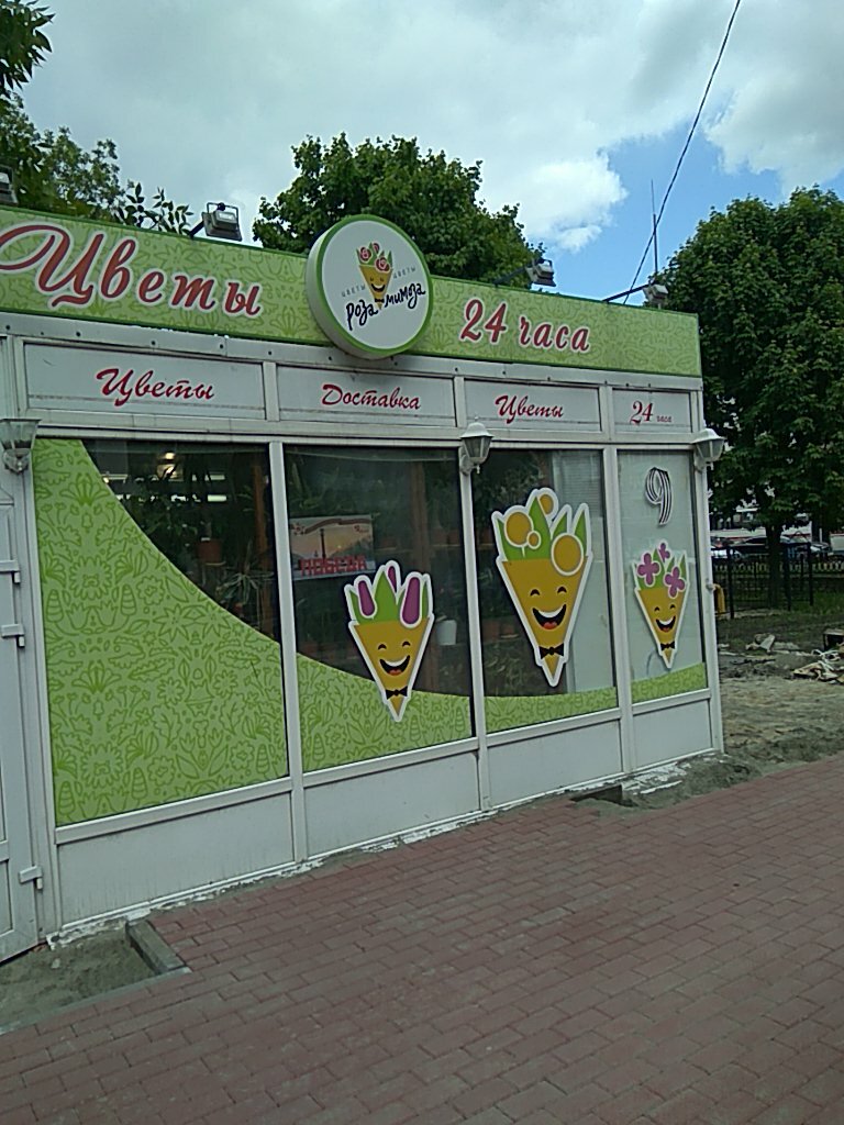 Мимоза Магазин Цветов