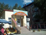 Lastochka (Kalininskiy okrug, Sadovaya ulitsa, 135), grocery