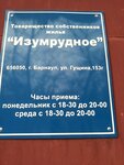 Tovarishchestvo sobstvennikov zhilya Izumrudnoye (Gushina Street, 153Г) ، سلطة إسكان بلدية