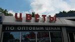 Tsvety (Lipetskaya Street, 3к1), floristeria