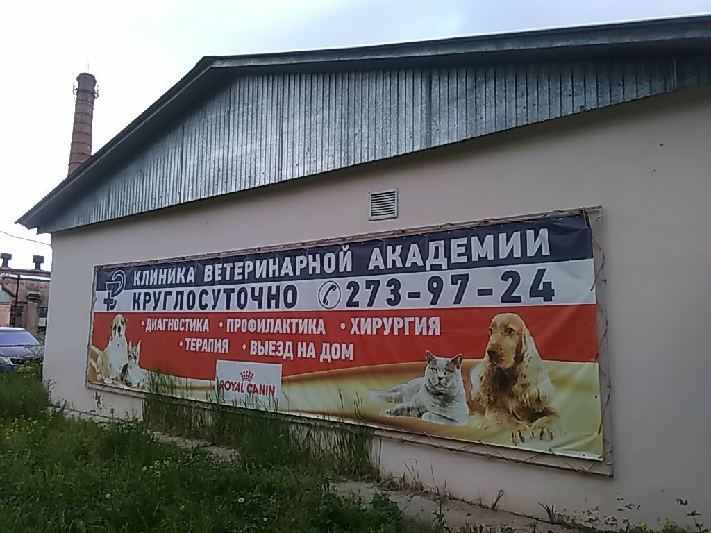 Ветеринарная клиника казани сибирский тракт