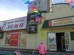 Yelena (Lermontova Street, 130), tienda de animales