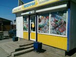 Belorechye (ulitsa Radishcheva, 153), grocery