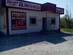 Alyonka (Молодёжная улица, 20), grocery