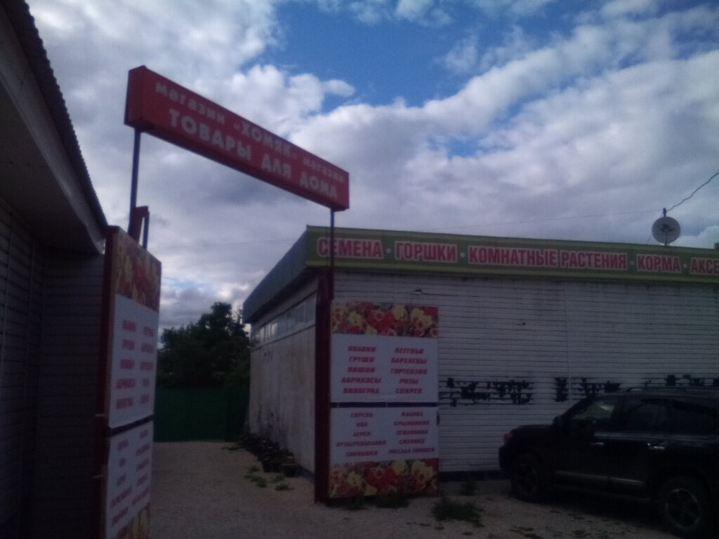 Хомяк Тула Магазин Режим Работы
