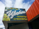 Tsvety (ulitsa Ilyicha, 30), flower shop