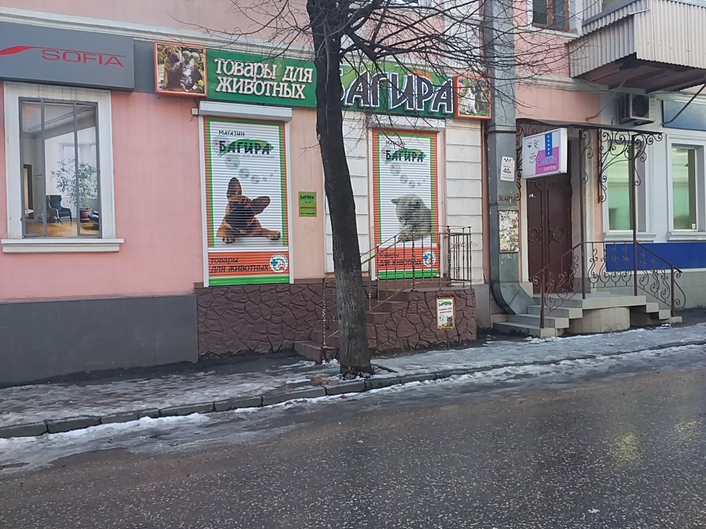 Багира Симферополь Интернет Магазин Официальный
