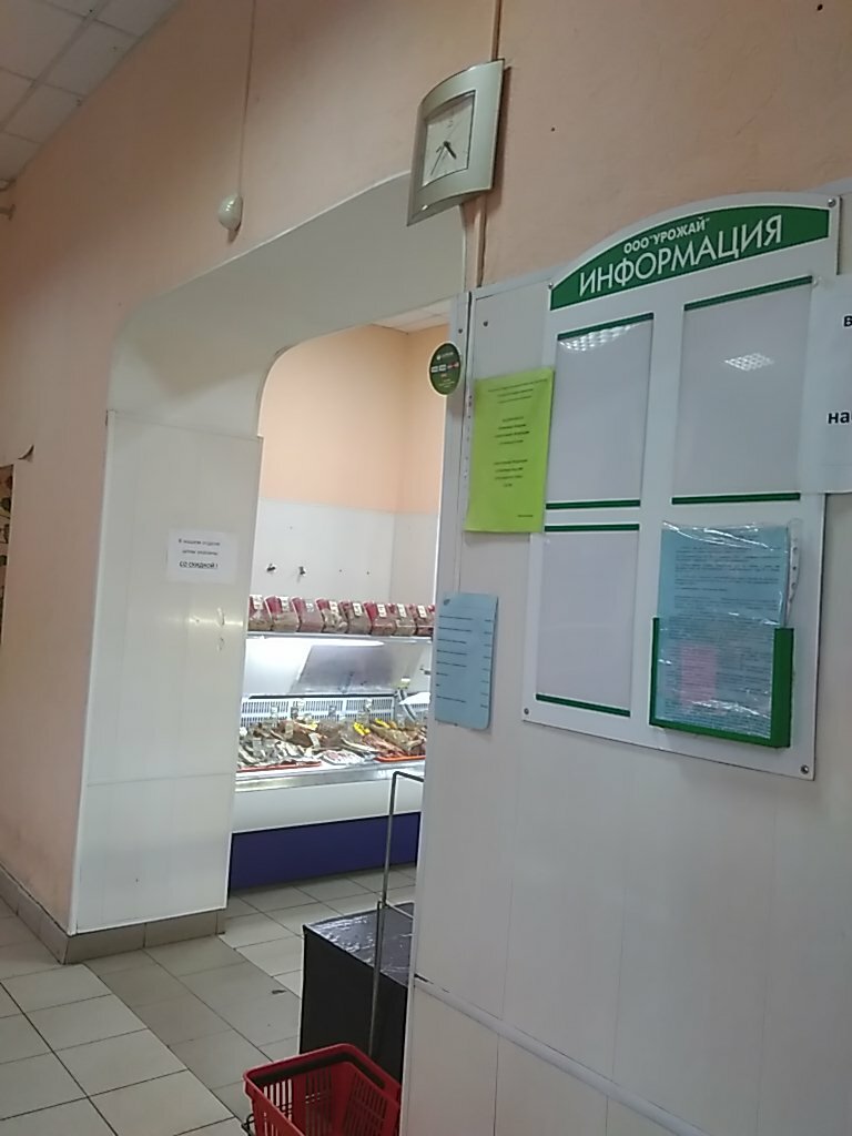 Рыбный Магазин Московский Проспект