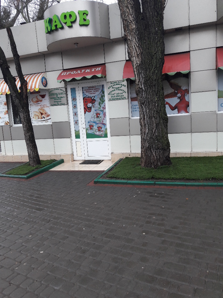 Фото Ковчег