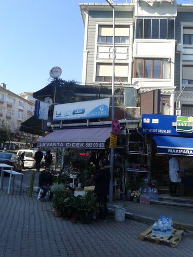 Hali Kilim Fiyatlari Ve Modelleri