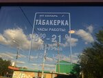 Tabakerka (ulitsa Lenina, 1Б), tea shop