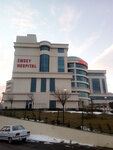 Emsey Hospital (İstanbul, Pendik, Çamlık Mah., Çam Sok., 1), tıp merkezleri ve klinikler  Pendik'ten