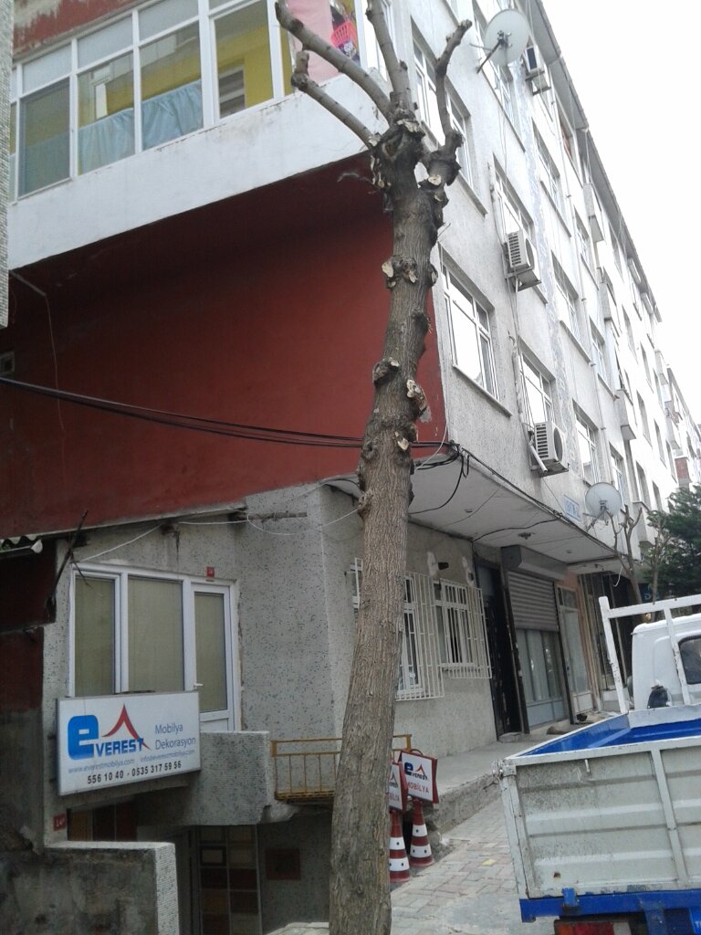 Everest Mobilya