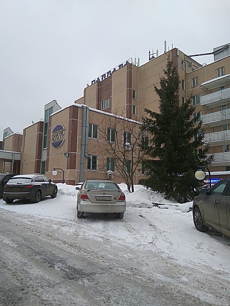 Фото Паллада РАН