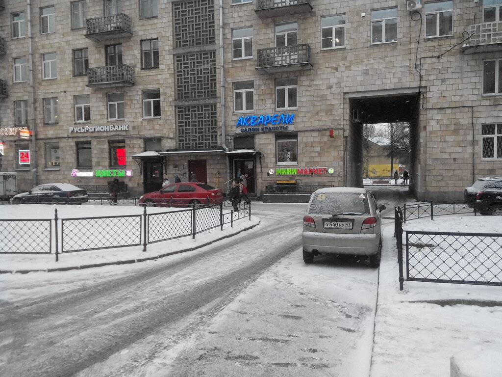 Cadastral works Gorodskoye upravleniye inventarizatsii i otsenki nedvizhimosti Moskovskogo rayona, Saint Petersburg, photo