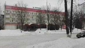 Лебедь