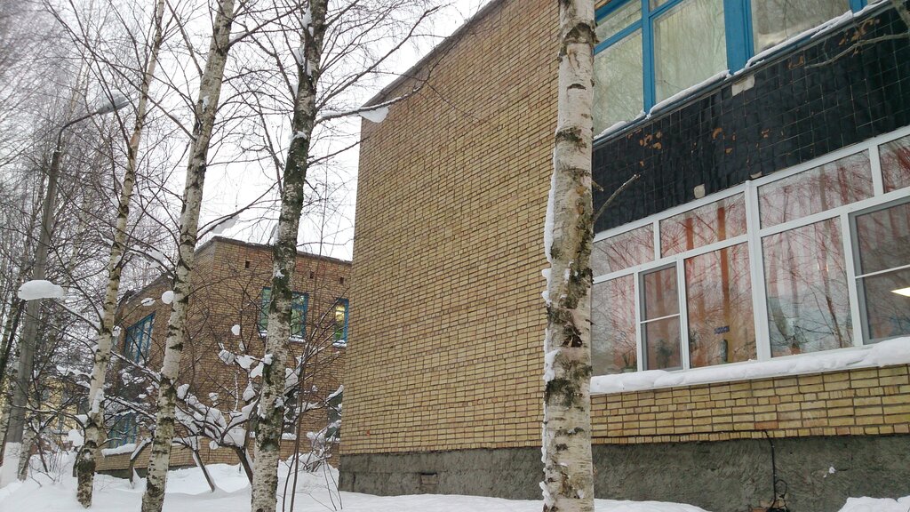 Маоу технологический лицей ул горького 15 фото