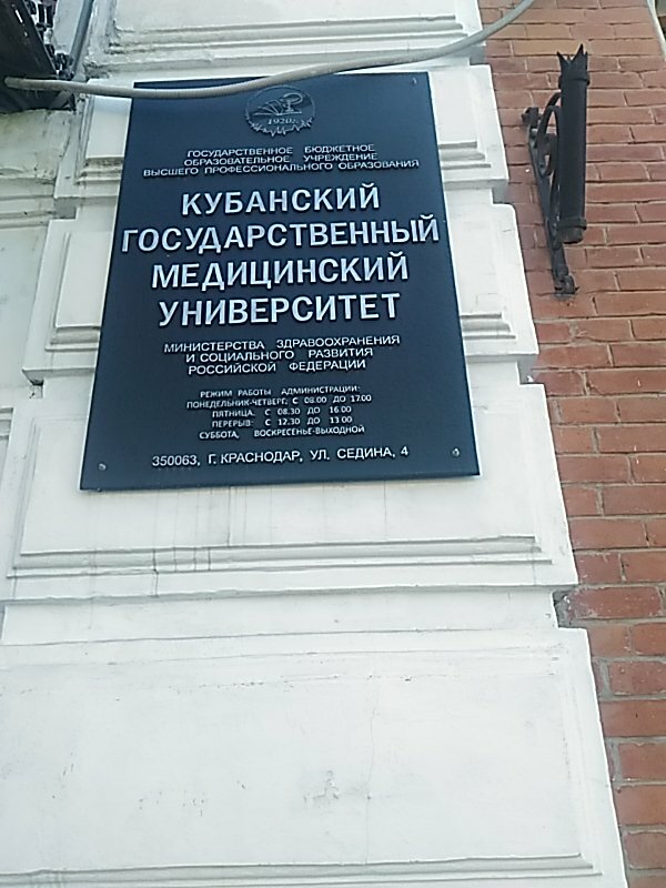 Лада металловна кубгу