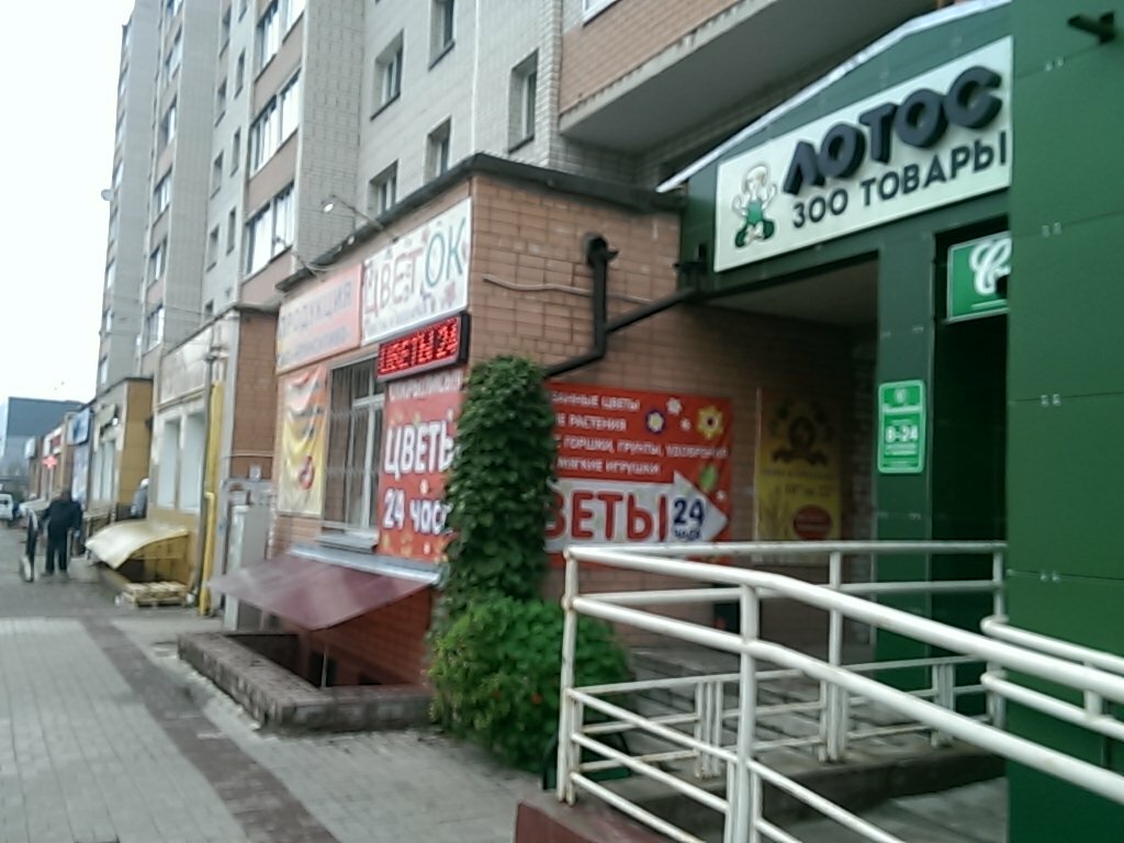 Магазин Сфера Смоленск Краснинское