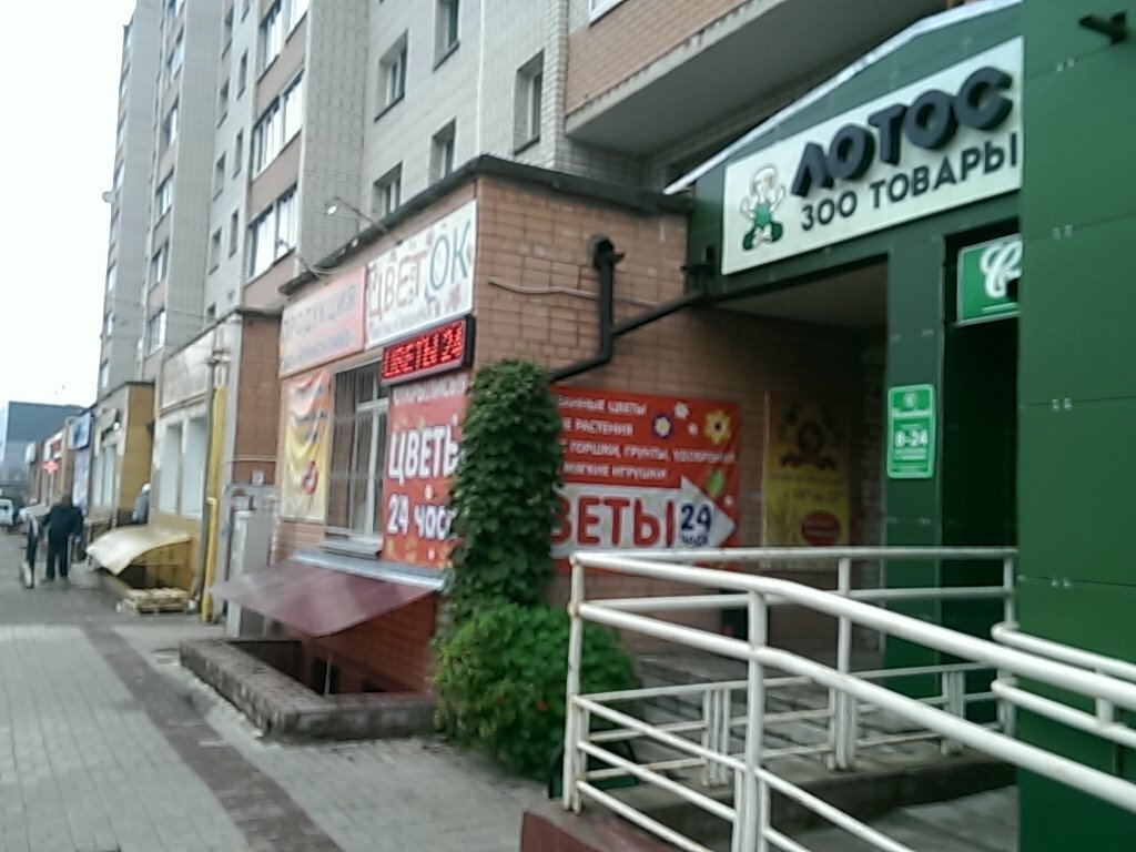 Магазин Панорама Смоленск Краснинское Шоссе Каталог Товаров