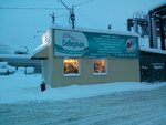 Severnaya Upakovka (Domostroitelnaya Street, 16к1), packing materials