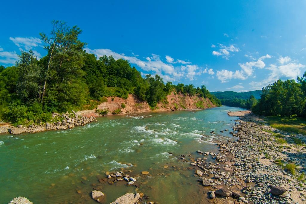 Фото Рябиновые бусы