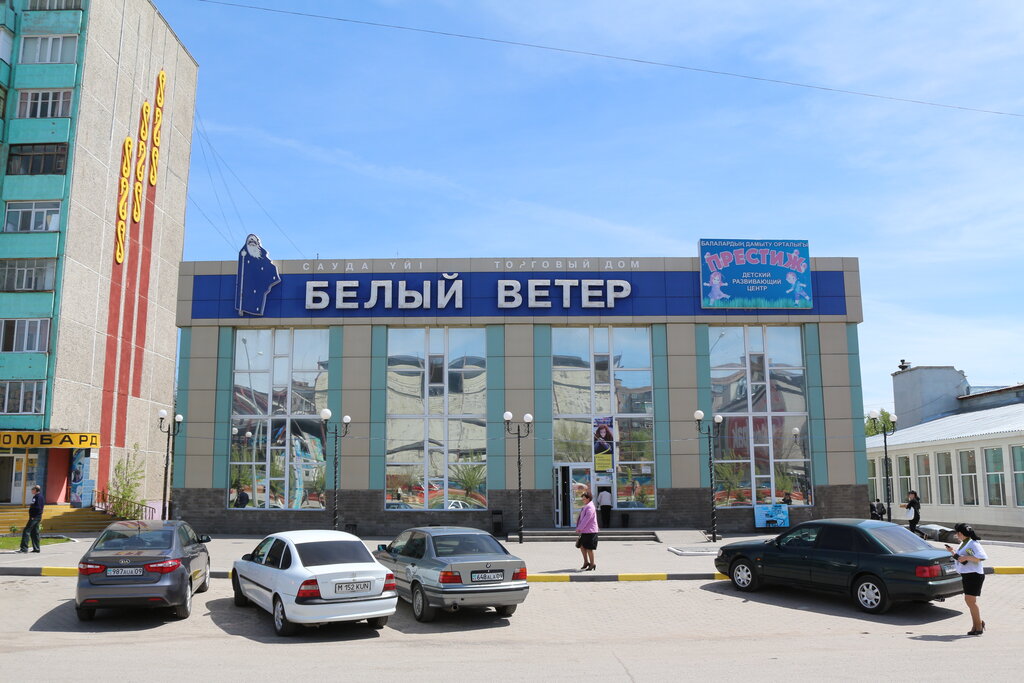 Electronics store Bely Veter, Temirtau, photo