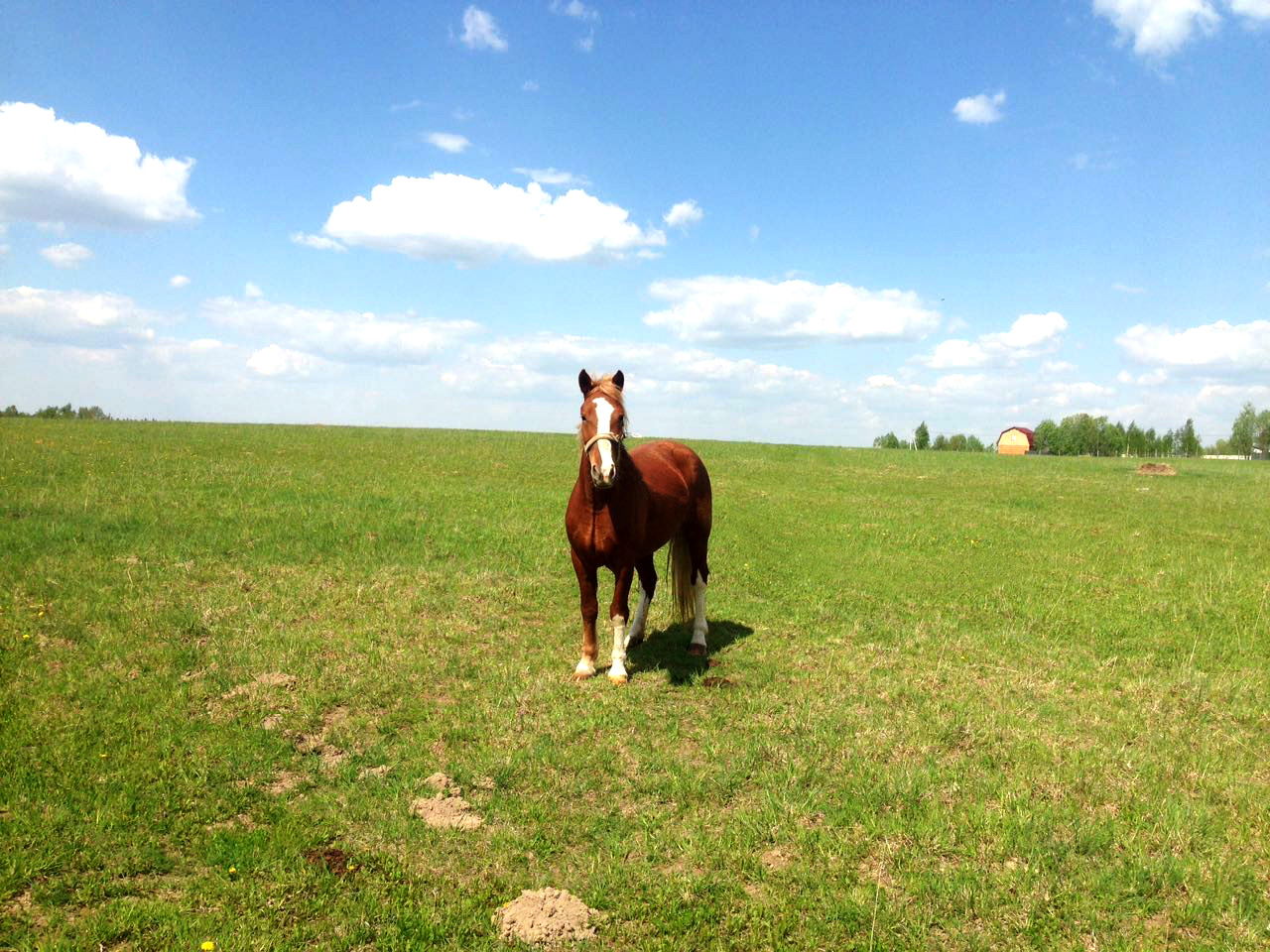 Фото Михайловское угодье