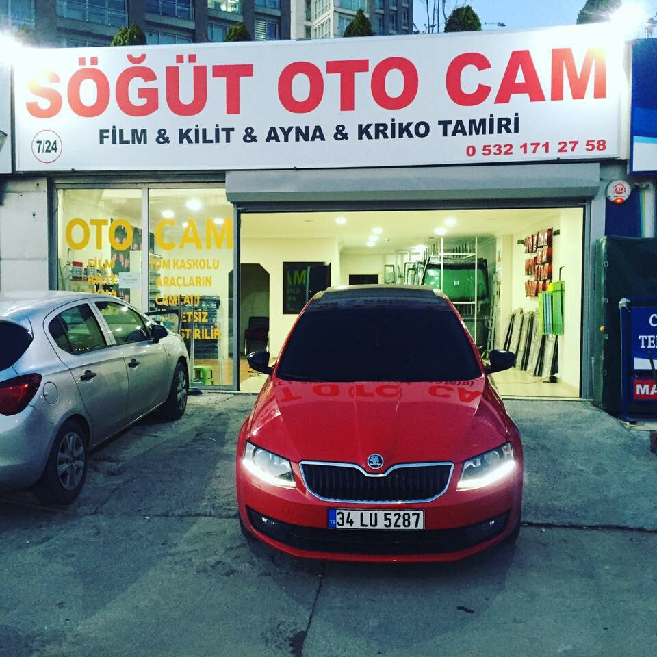 Araç camlarının renklendirilmesi Söğüt Oto Cam, Pendik, foto