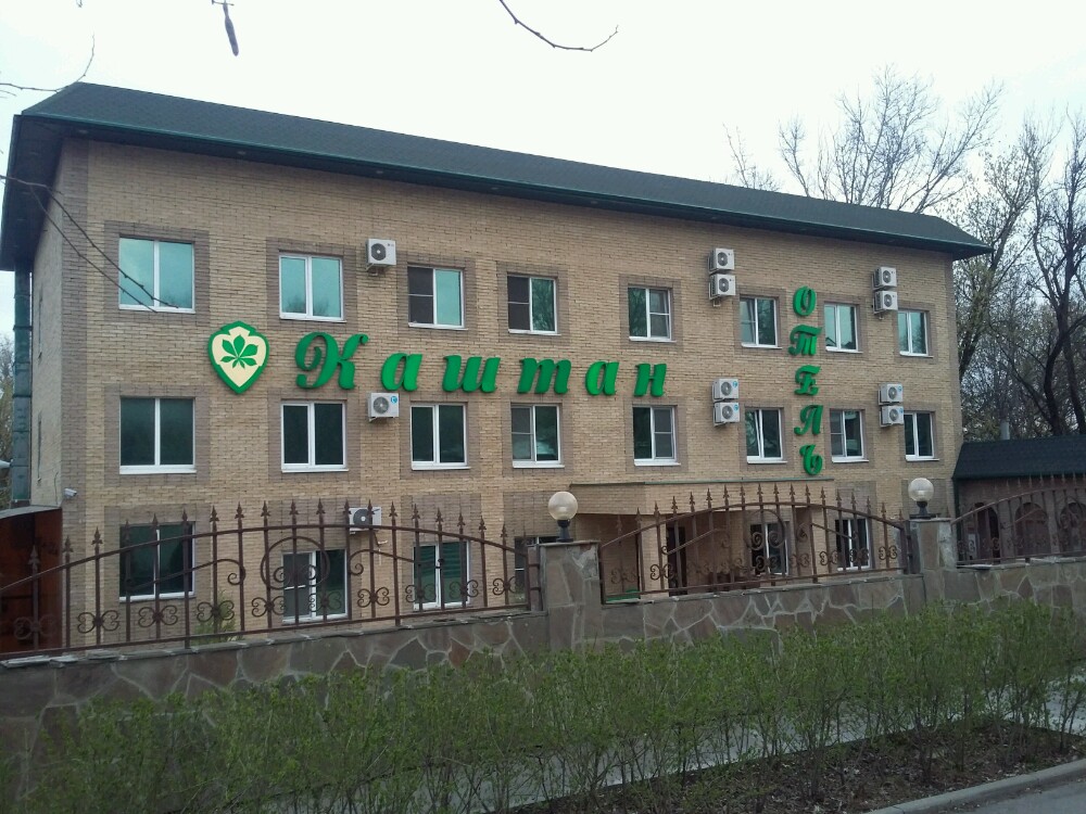 Фото Каштан