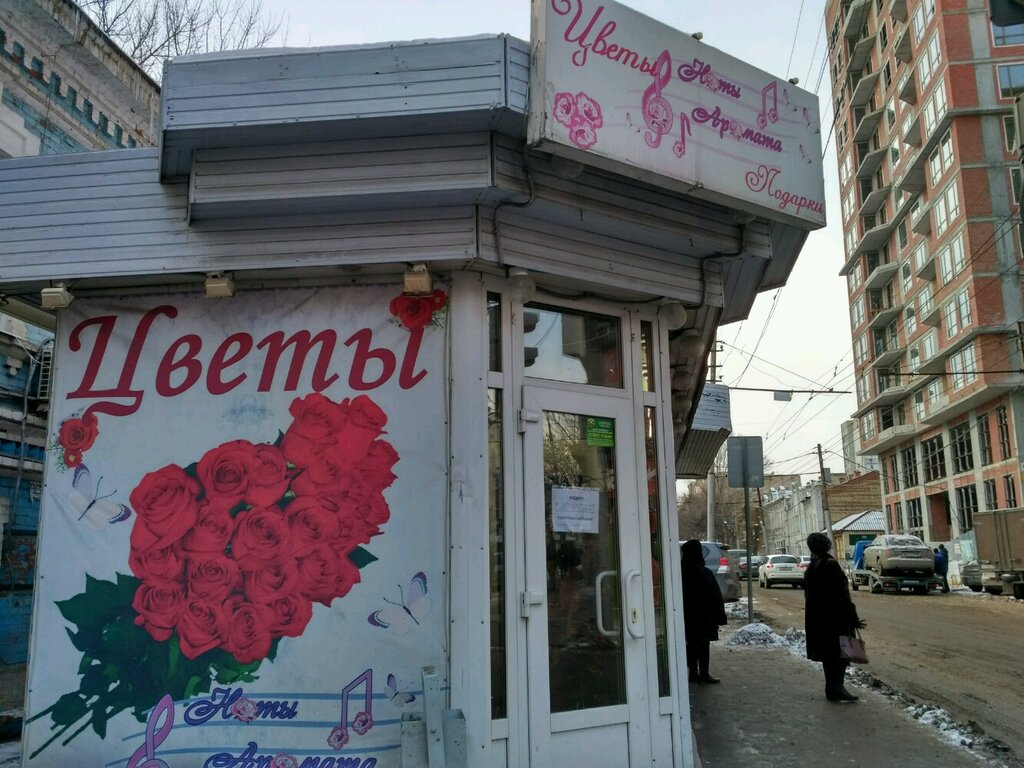 Магазин Растений Саратов